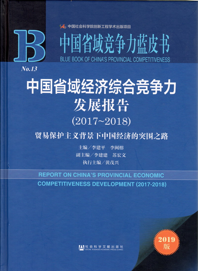 操插嗯嗯视频中国省域经济综合竞争力发展报告（2017-2018）